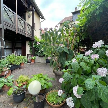 Apartment Gerberbachviertel Weinheim Exteriér fotografie