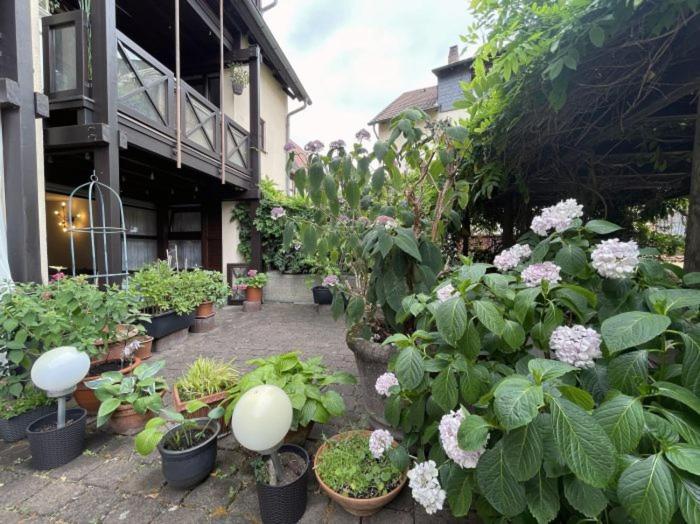Apartment Gerberbachviertel Weinheim Exteriér fotografie