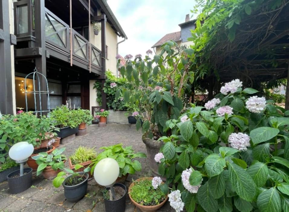 Apartment Gerberbachviertel Weinheim Exteriér fotografie